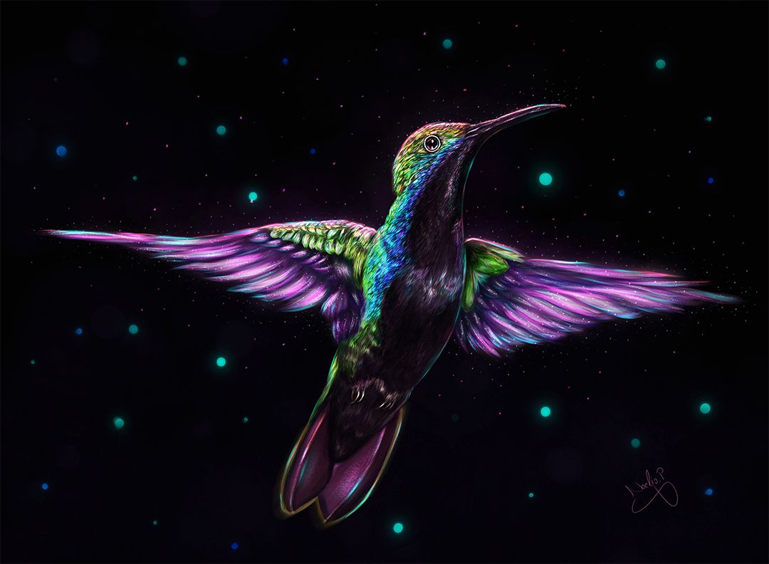 Dibujo realista colibrí mágico