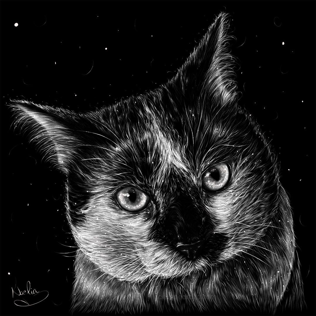 dibujo digital estilo tiza gatito Dexter