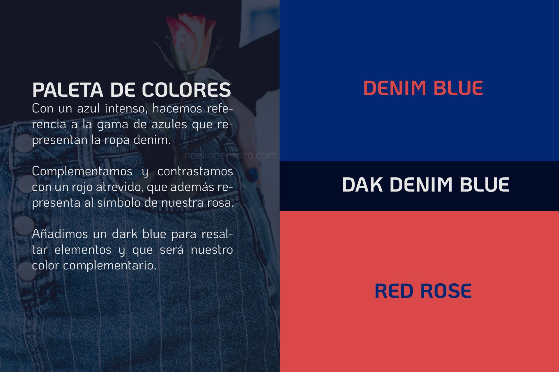 Definición de Paleta de colores para Branding de ropa